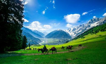 Dreamland Kashmir